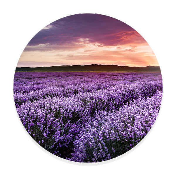 Muurcirkel Bloeiend Lavendelveld