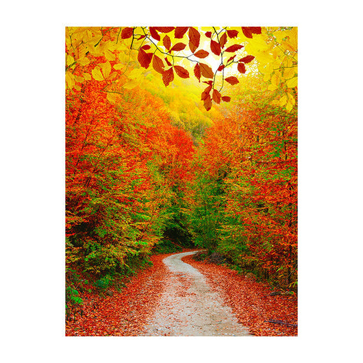 Schilderij Kleurrijke Herfstwandeling in het Bos