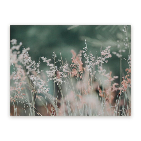 Schilderij Roze Bloemen in Grasweide