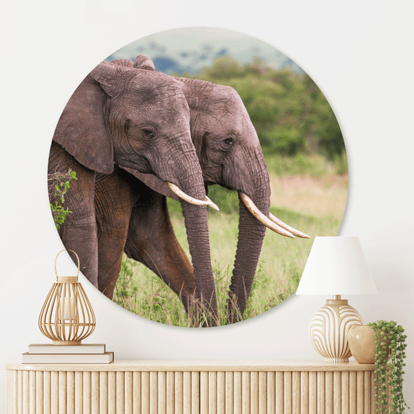 Muurcirkel Family Elephants