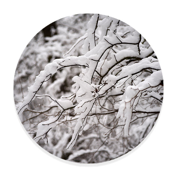 Muurcirkel Betoverende Winterse Takken