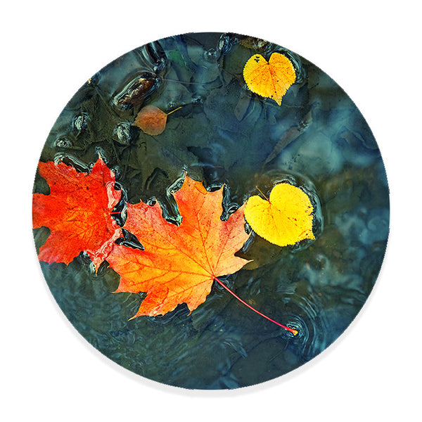 Muurcirkel Herfstbladeren in Donkerblauw Water