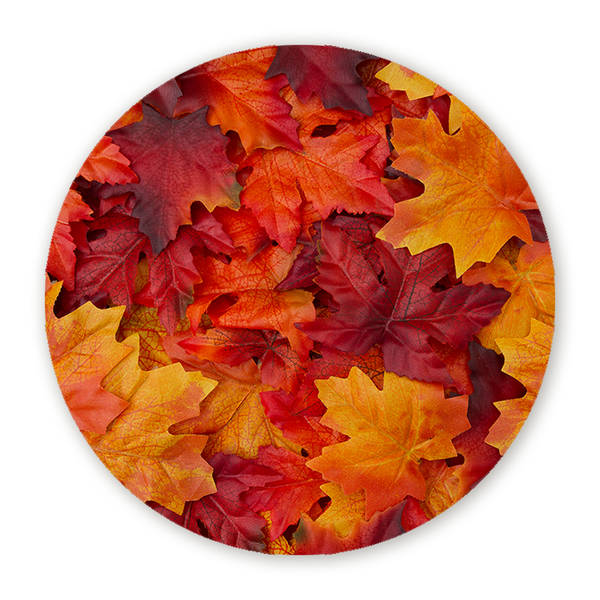 Muurcirkel Herfstbladeren