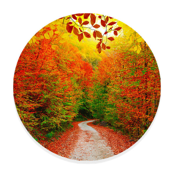 Muurcirkel Kleurrijke Herfstwandeling in het Bos