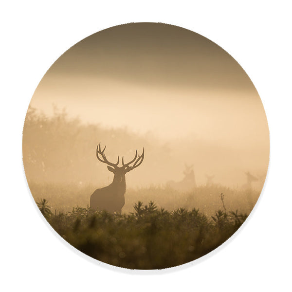 Muurcirkel Hert van het Nevelwoud