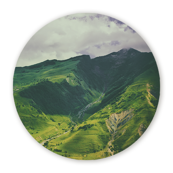 Muurcirkel Kaukasische Groenpracht