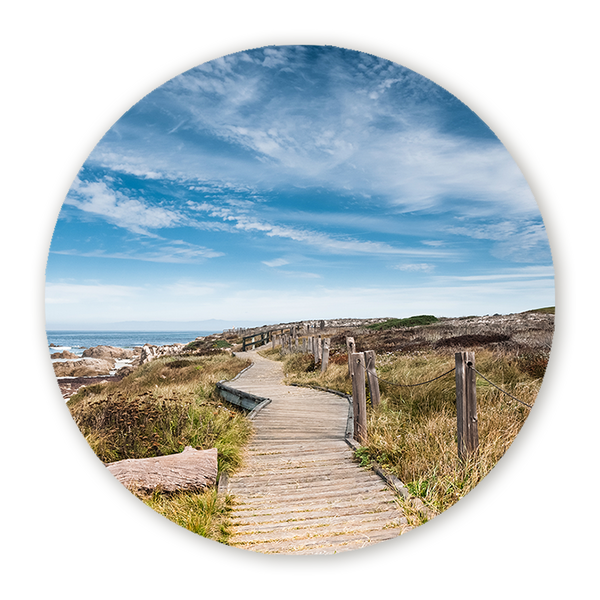 Muurcirkel Pacific Grove