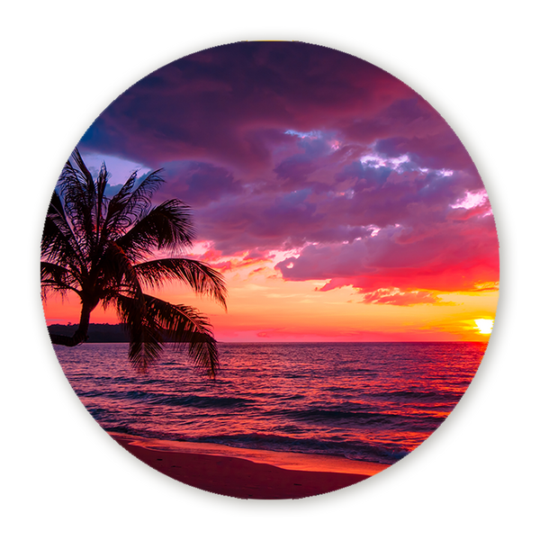 Muurcirkel Tropische Zonsondergang