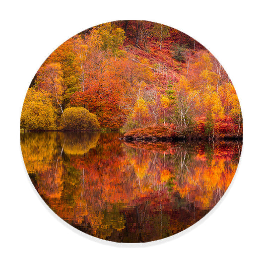 Muurcirkel Reflecties van de Herfst