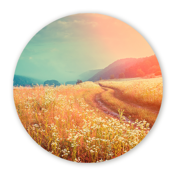 Muurcirkel Weidse Zonnegloed