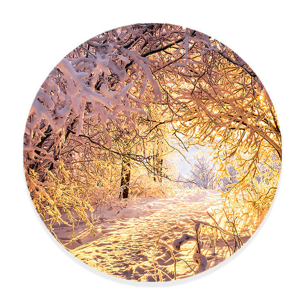 Muurcirkel Winterse Betovering