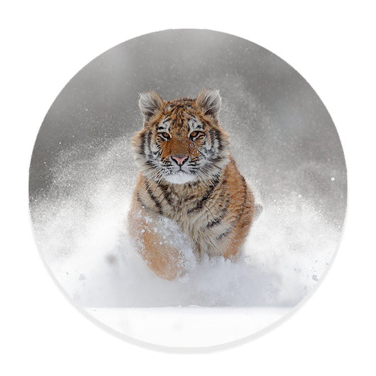 Muurcirkel Winterse Tijgerj