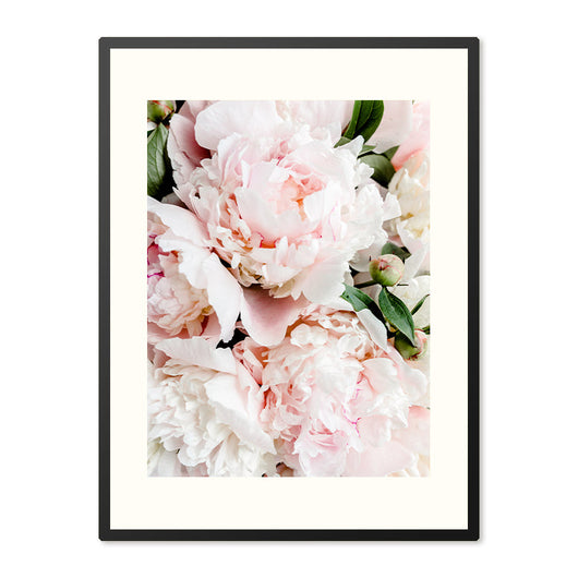 Poster in Lijst Elegante Pioenrozen