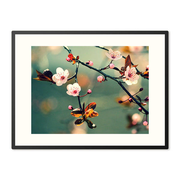 Poster in Lijst Japanse Kersenbloesem