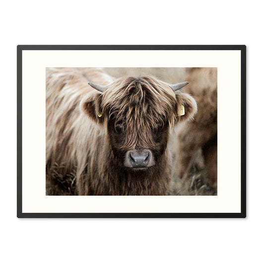 Poster in Lijst Robuuste Schoonheid