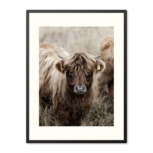 Poster in Lijst Robuuste Schoonheid