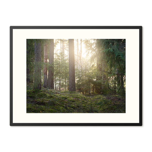 Poster in Lijst Bosrijke Mysterie