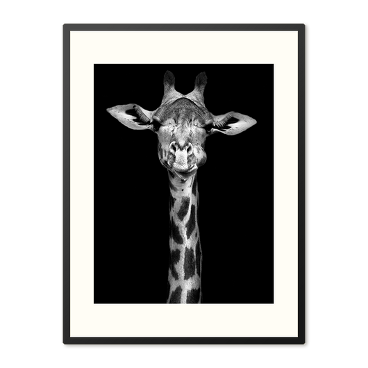 Poster in Lijst Majestueuze Elegante Giraffe