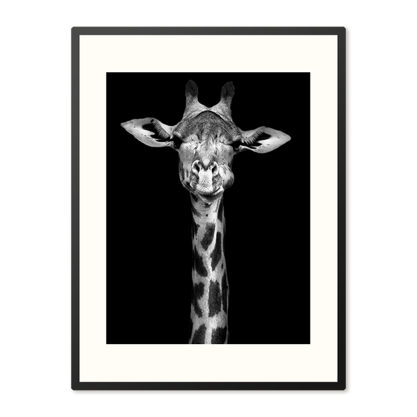 Poster in Lijst Majestueuze Elegante Giraffe