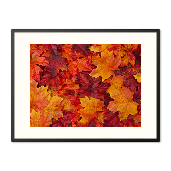 Poster in Lijst Herfstbladeren