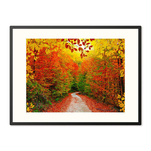 Poster in Lijst Kleurrijke Herfstwandeling in het Bos