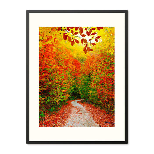 Poster in Lijst Kleurrijke Herfstwandeling in het Bos