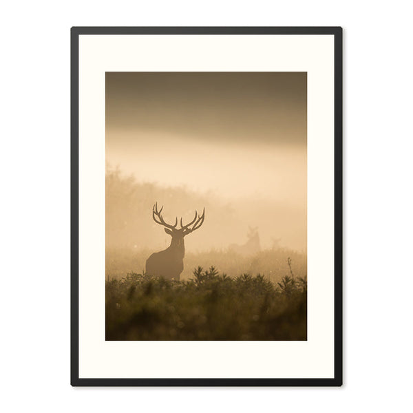 Poster in Lijst Hert van het Nevelwoud