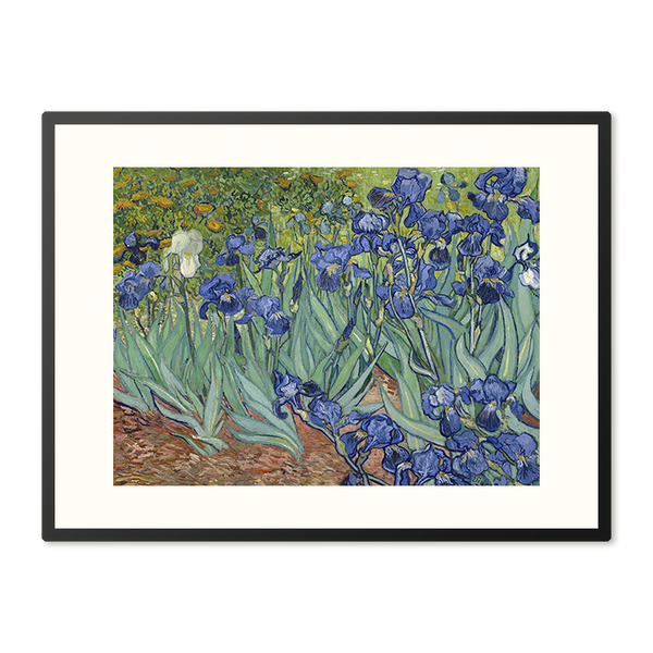 Poster in Lijst Irissen