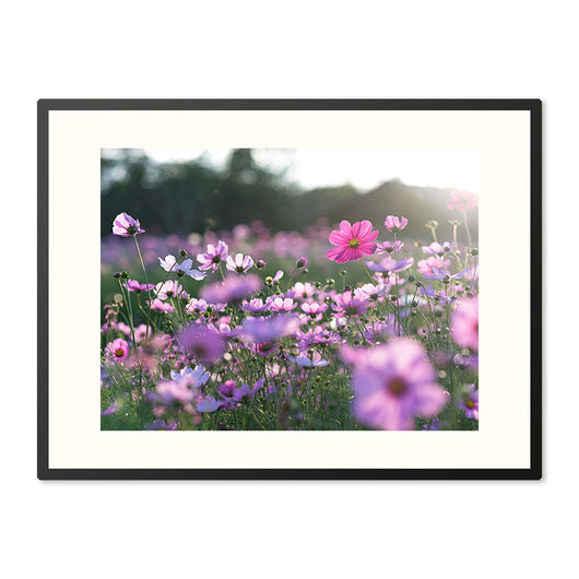 Poster in Lijst Veldbloemen in Volle Bloei