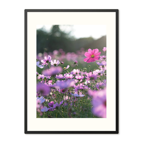 Poster in Lijst Veldbloemen in Volle Bloei