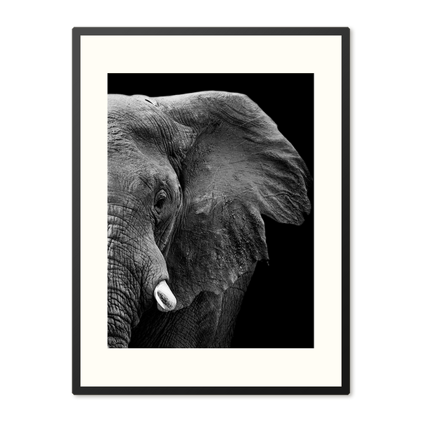 Poster in Lijst Krachtige Olifant