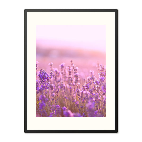 Poster in Lijst Lavendel Bloemen