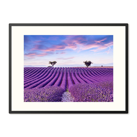 Poster in Lijst Lavendelveld in de Provence
