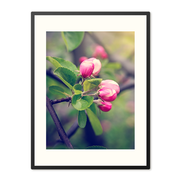 Poster in Lijst Lenteknoppen in Zacht Licht