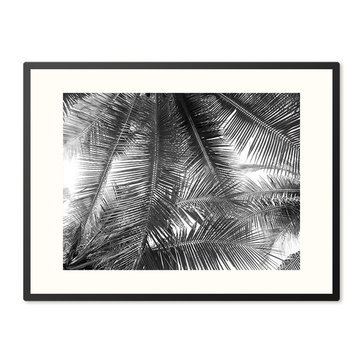 Poster in Lijst Mooi Palmblad