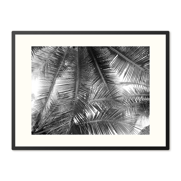 Poster in Lijst Mooi Palmblad