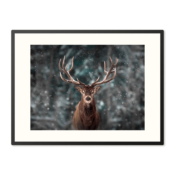 Poster in Lijst Nobel Edelhert