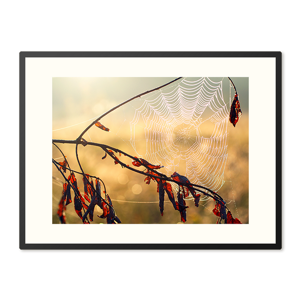 Poster in Lijst Ochtenddauw op een web