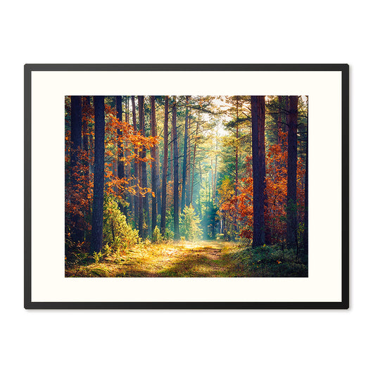 Poster in Lijst Herfstbos bij Ochtendgloren