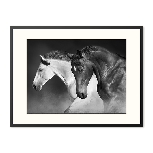 Poster in Lijst Galopperende Sierlijkheid