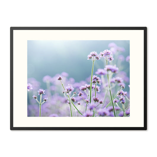 Poster in Lijst Sierlijke Paarse Magie