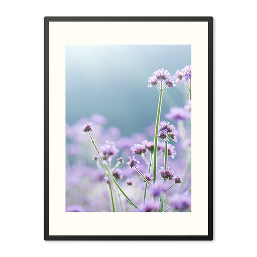 Poster in Lijst Sierlijke Paarse Magie