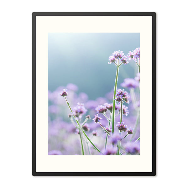 Poster in Lijst Sierlijke Paarse Magie