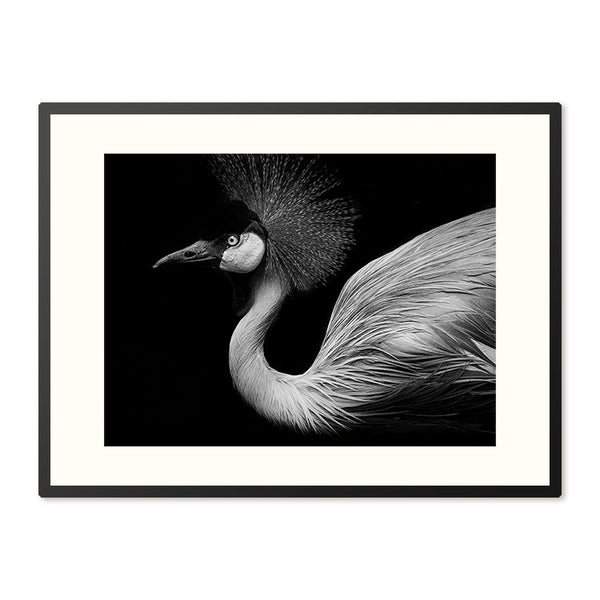 Poster in lijst Schaduwspel Flamingo