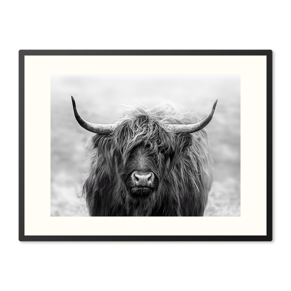 Poster in Lijst Schotse Blik