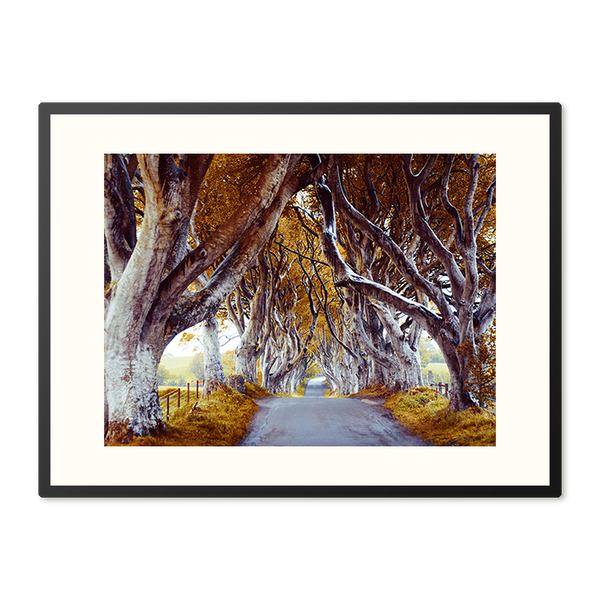 Poster in Lijst The Dark Hedges