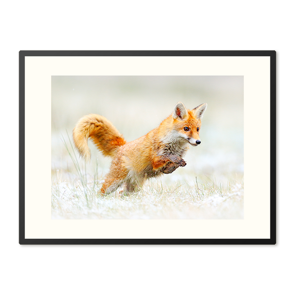 Poster in Lijst Vos in Winterwonderland