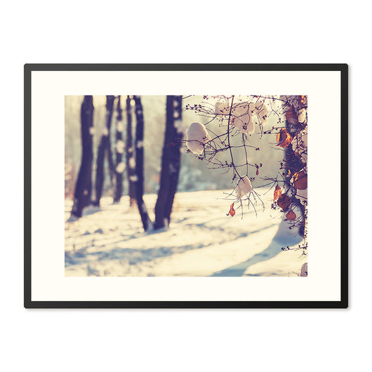 Winters Spel van Licht en Schaduw