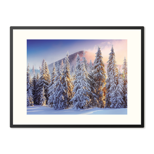 Poster in Lijst Winterwoud