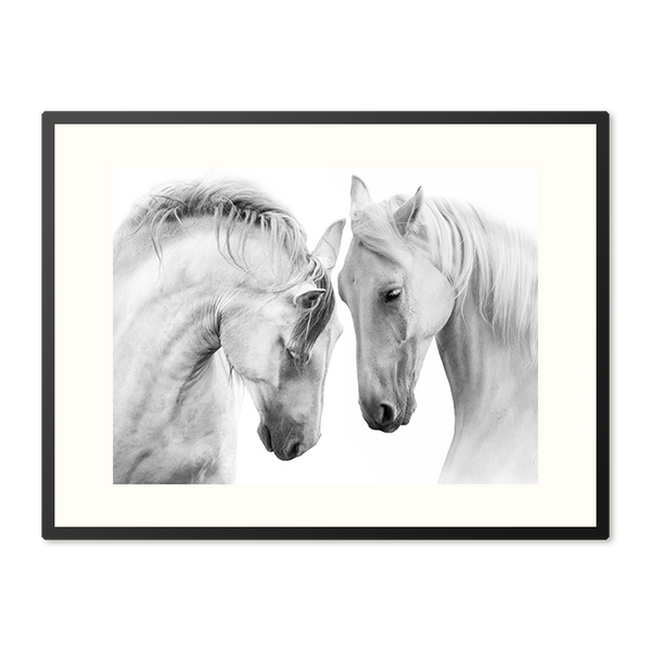 Poster in Lijst Witte Paarden